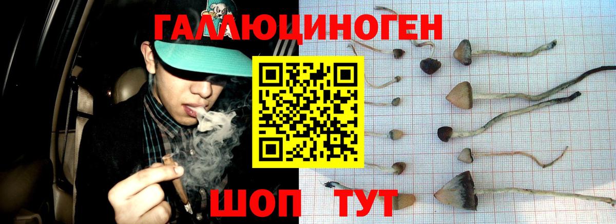 Псилоцибиновые грибы Magic Shrooms Камышин